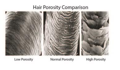 hair porosity hair cuticle