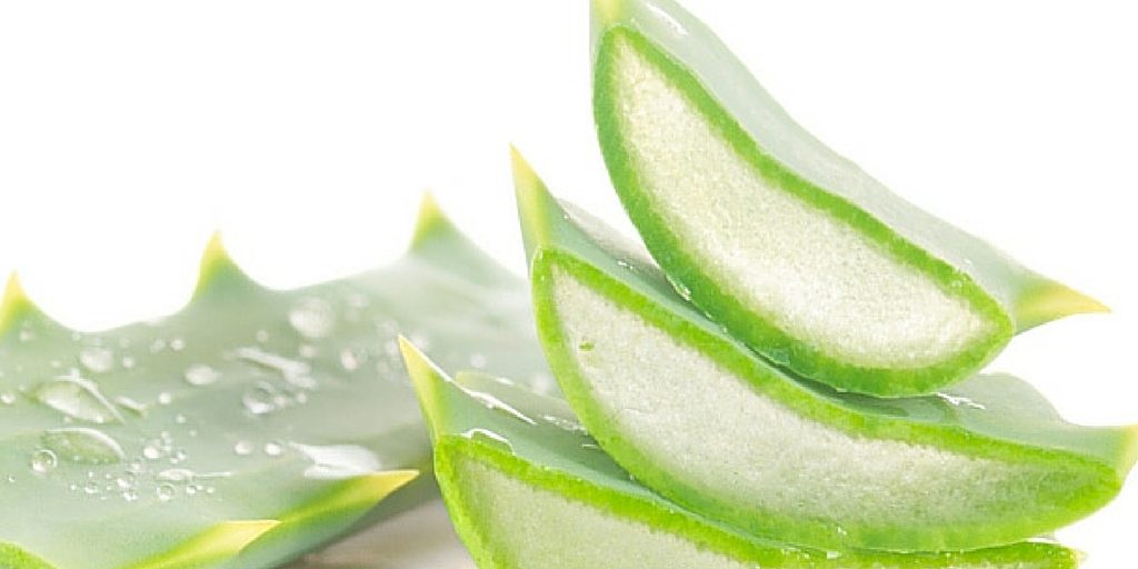 aloe vera for natural hair